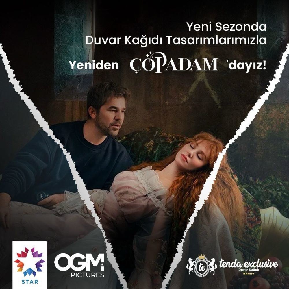 Papier peint du bureau de Tamer (Engin Altan Düzyatan), série Çöp Adam