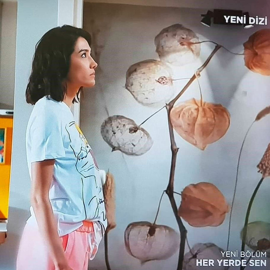 Papier peint de Selin (Aybüke Pusat) et Demir (Furkan Andıç), série Heryerde Sen