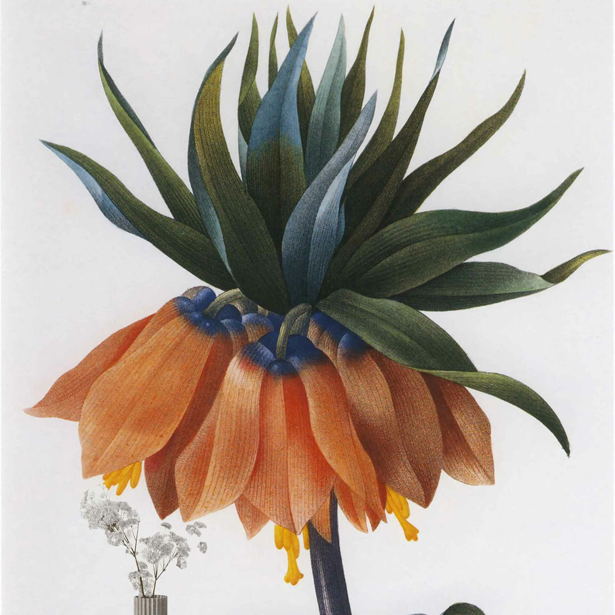 Papier peint fleur épurée en dégradé vert et orange