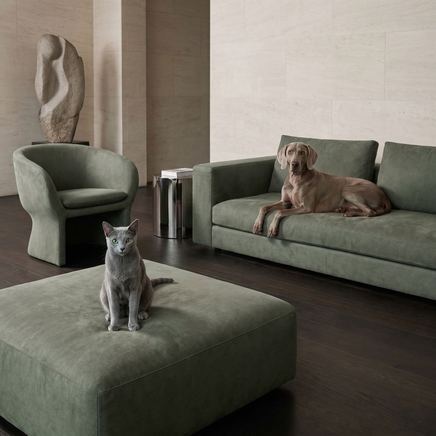 Tissu vert Azure adapté aux animaux de compagnie