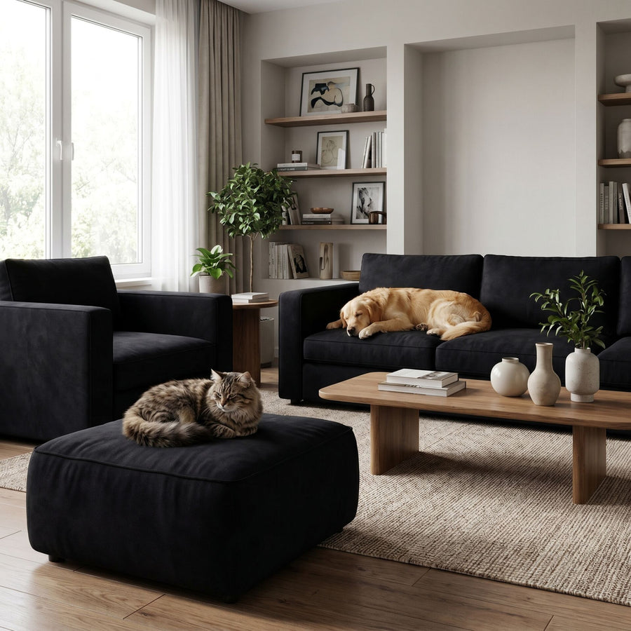 Tissu coloré Azure adapté aux animaux de compagnie