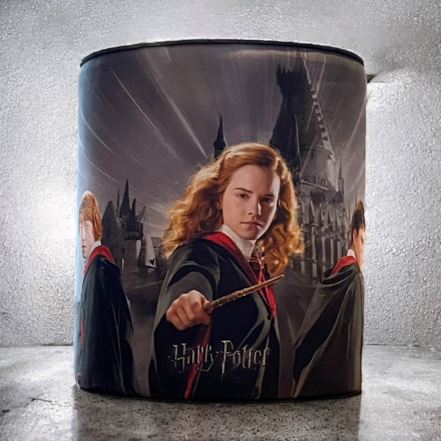 Coussins décoratifs Harry Potter