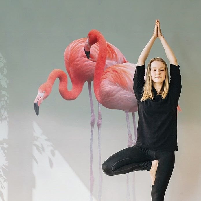 Papier peint Pink Flamingos