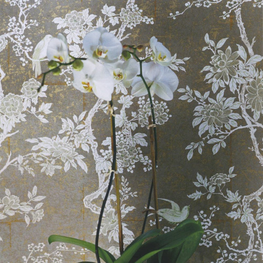 Papier peint Marlowe Floral oiseaux sur fond patiné