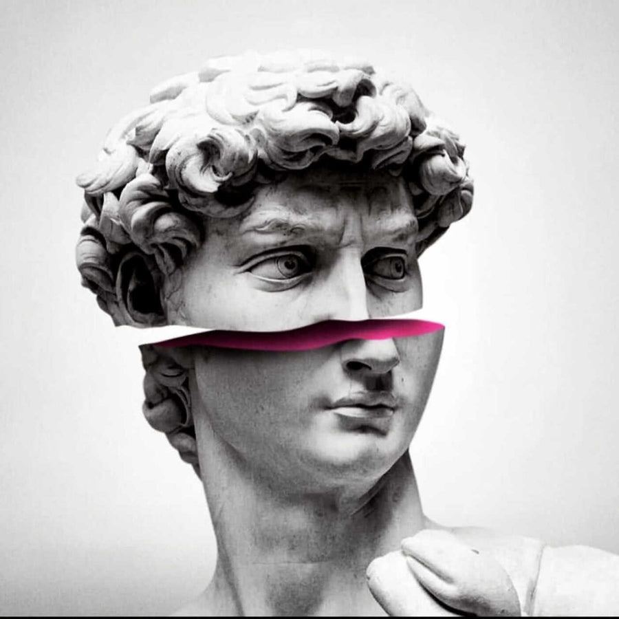 Papier peint visage du David de Michel-Ange