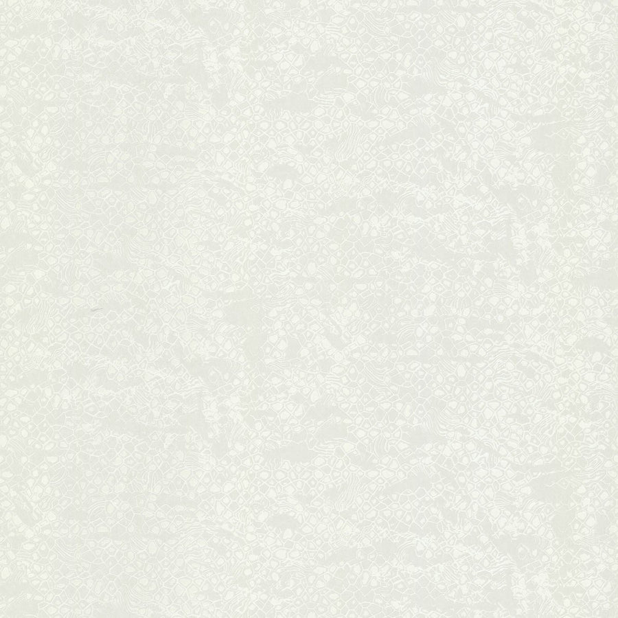 Collection Roberto Cavalli n° 8 à motif blanc