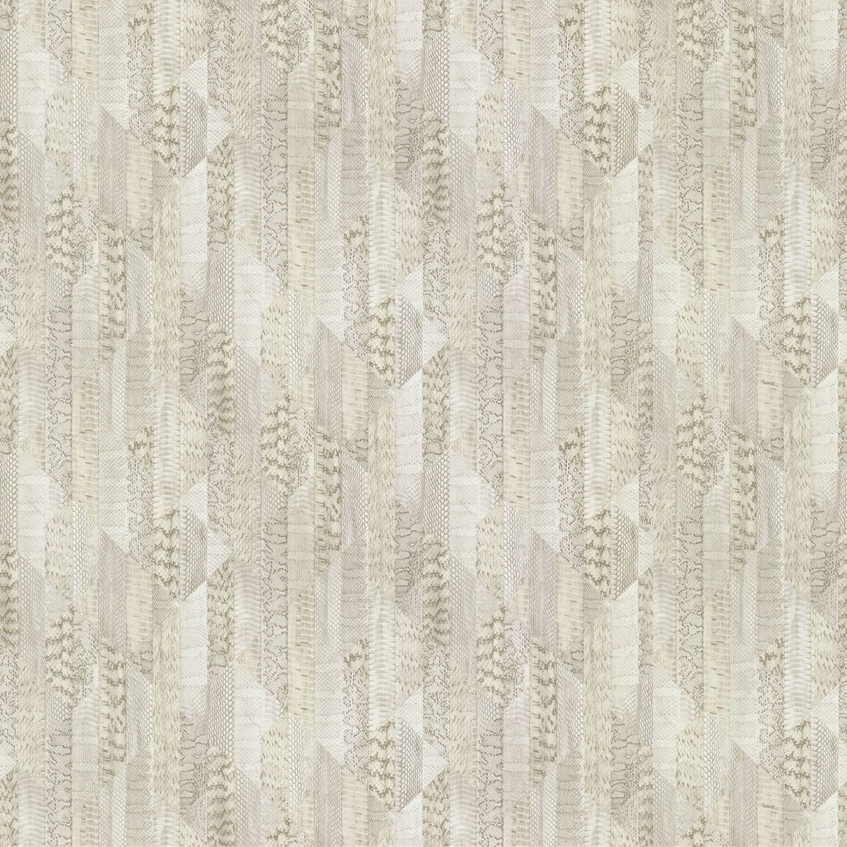 Collection Roberto Cavalli n° 8 texturée brun clair et gris