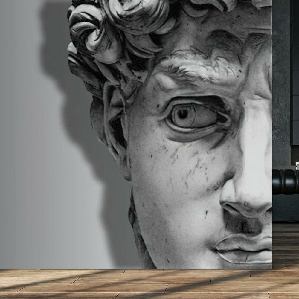 Papier peint grand buste de David