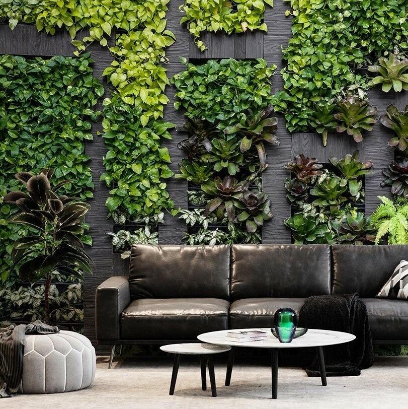 Papier peint mur au décor de plantes tropicales