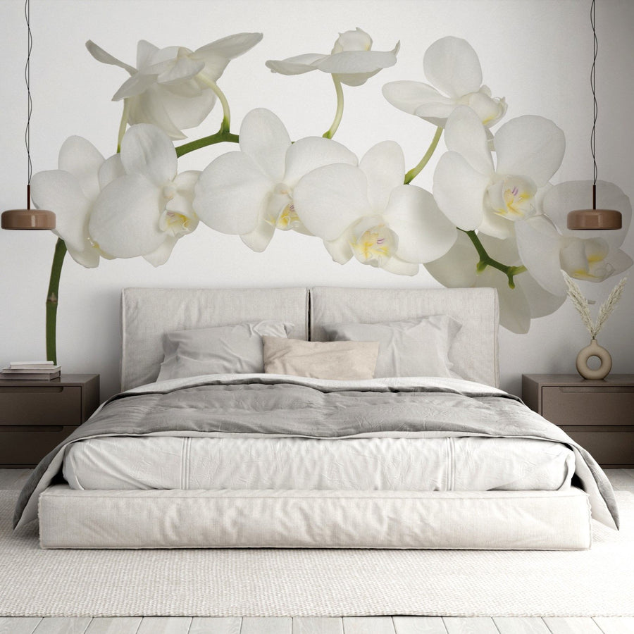 Papier peint fleur d'orchidée blanche