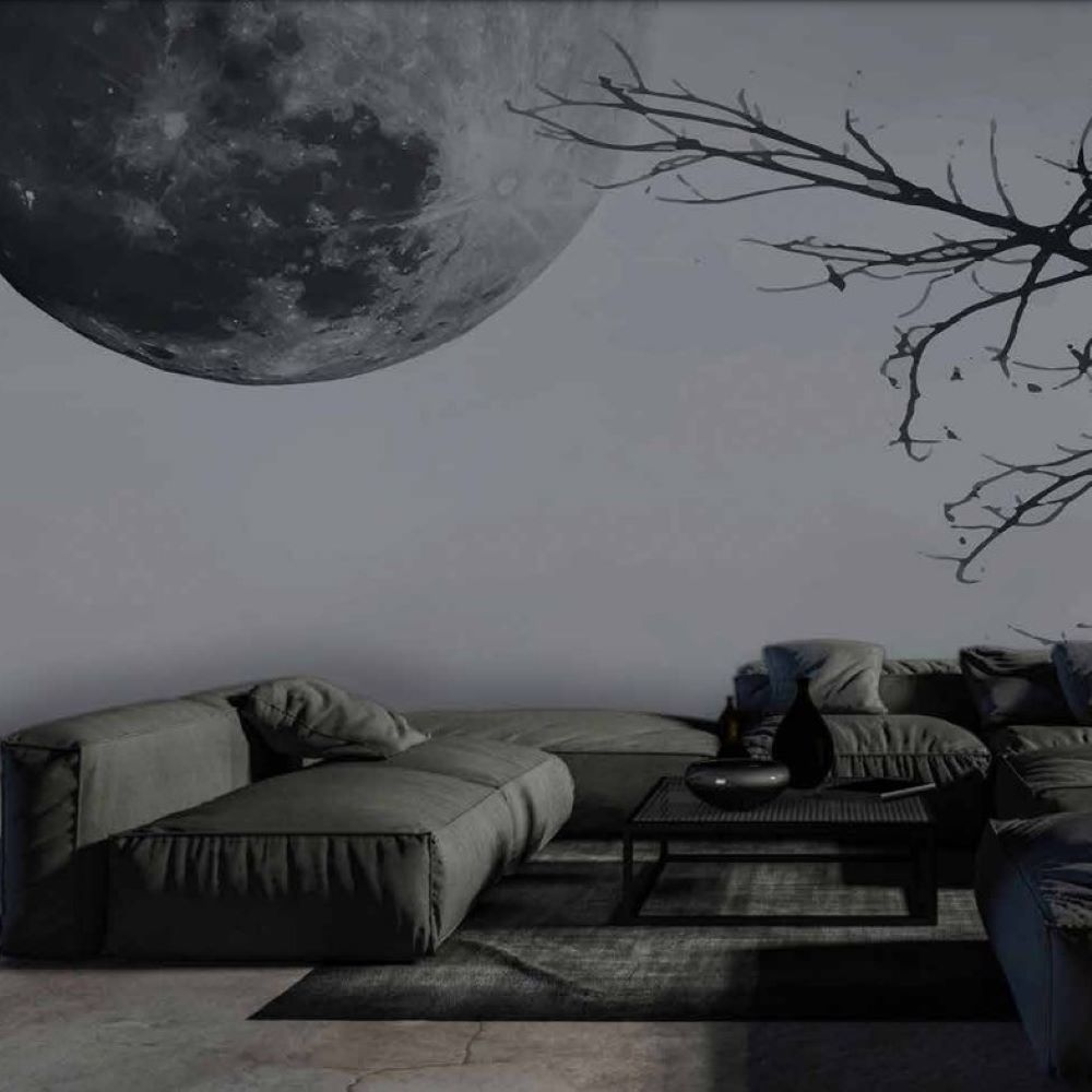 Papier peint pleine lune et branches noires
