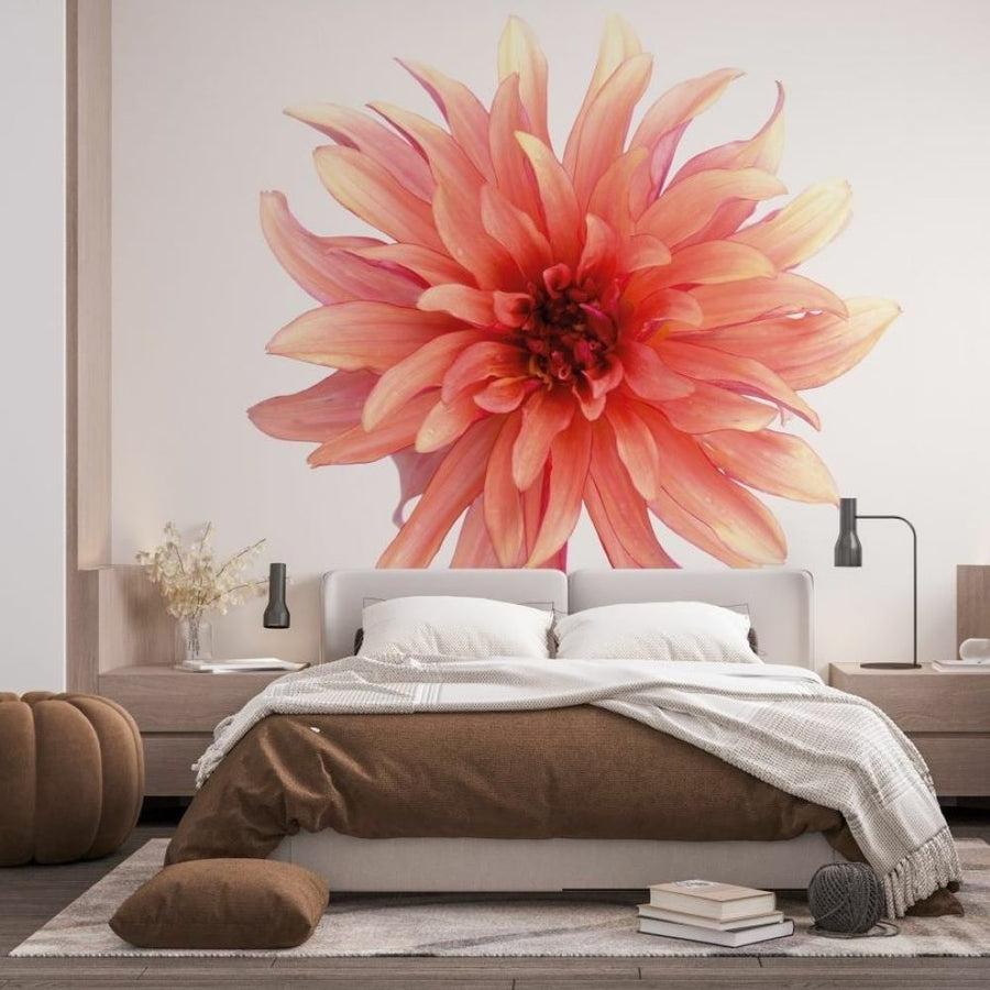 Papier peint Single Flowers fleurs roses